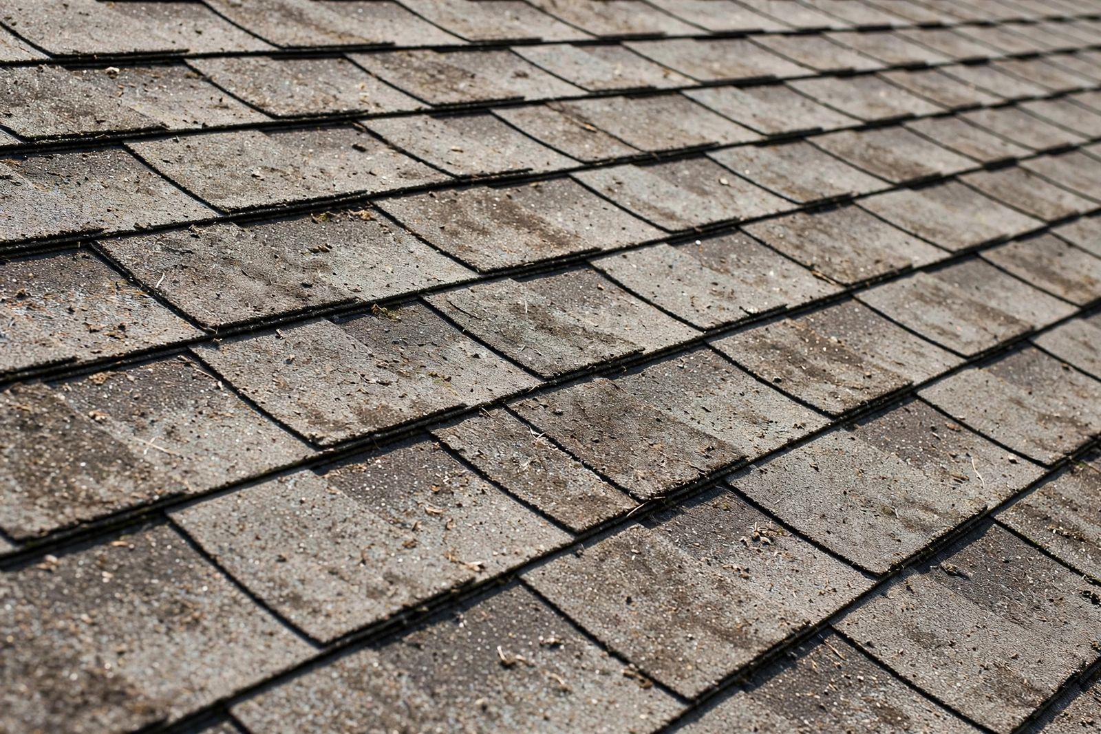 Architectural asphalt shingles close-up